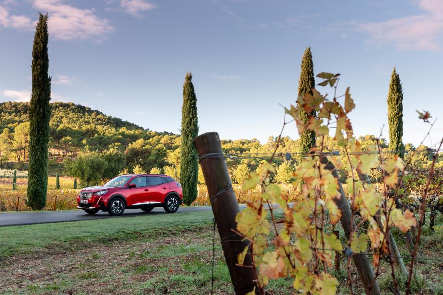  Peugeot 2008 2019 года  (WW) (фото 27 из 42)
